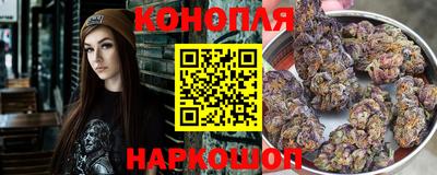 прущие грибы Кунгур
