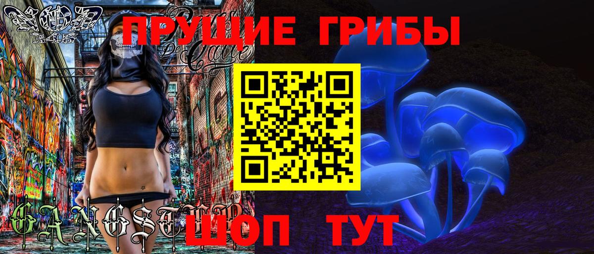 купить наркоту  Галлюциногенные грибы Psilocybe  Выборг  Вход с VPN  Галлюциногенные грибы мухоморы 