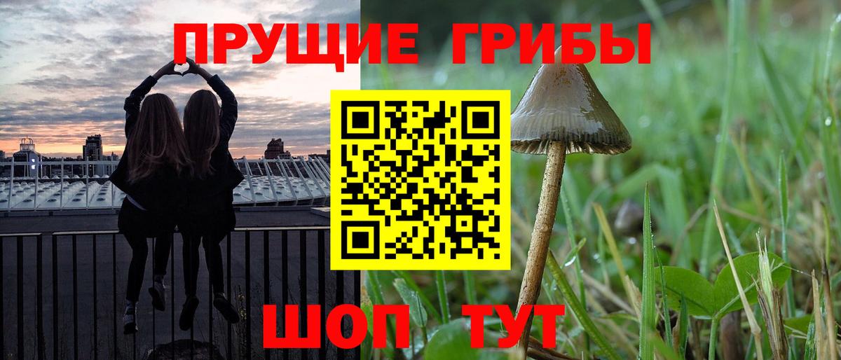 Псилоцибиновые грибы ЛСД  Выборг  Псилоцибиновые грибы Psilocybe 