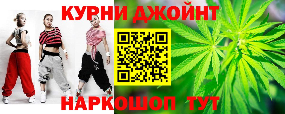 Конопля сатива Выборг